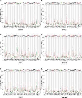 Expression and prognostic value of PRDX family in colon adenocarcinoma by integrating comprehensive analysis and in vitro and in vivo validation